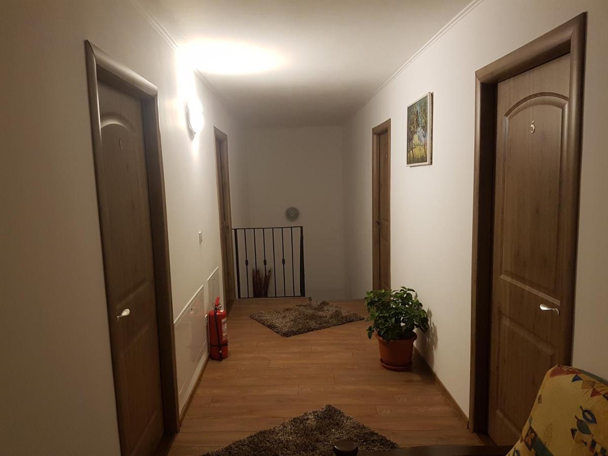 萨图马雷Casa Irinella住宿加早餐旅馆 外观 照片