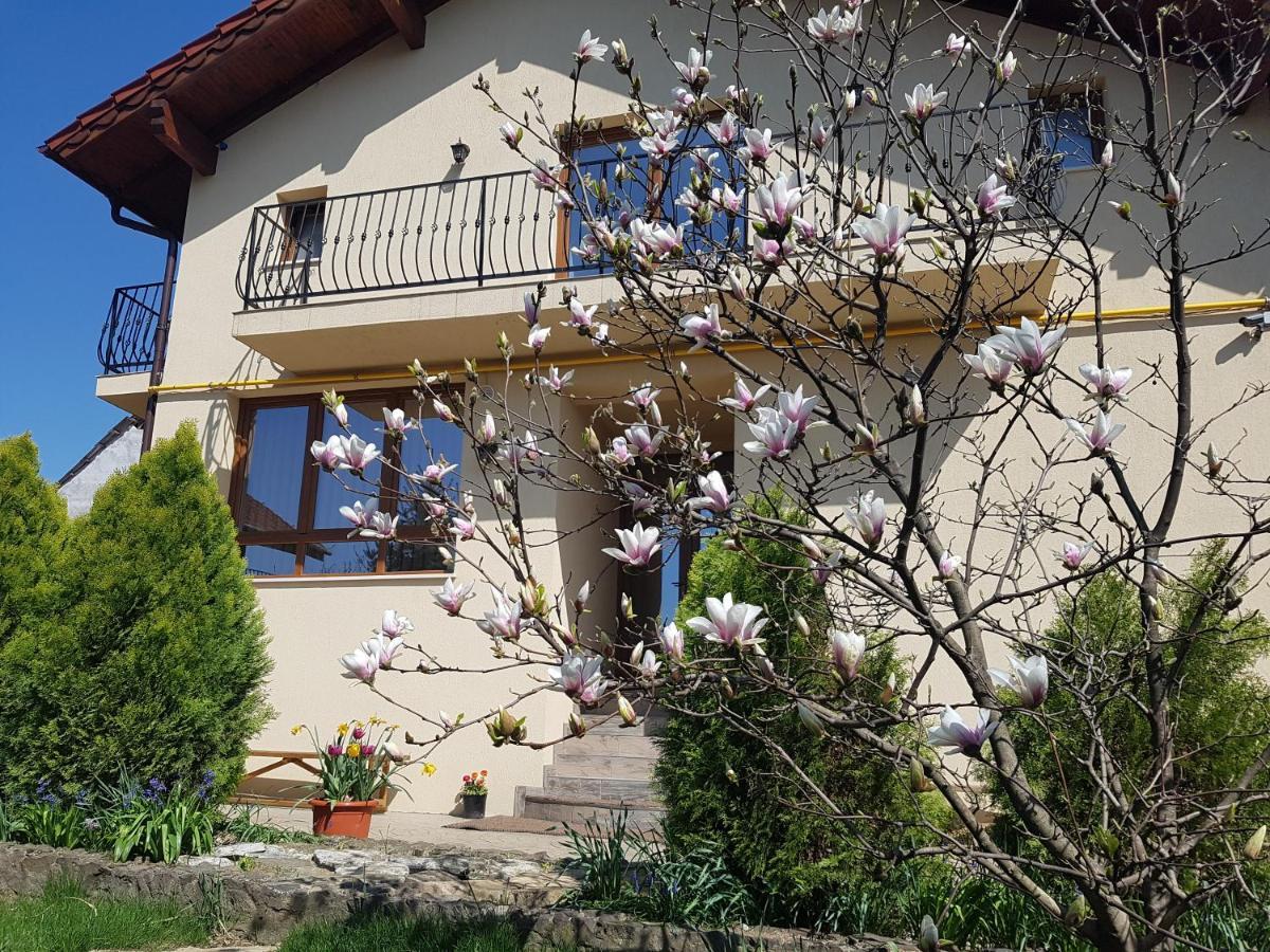 萨图马雷Casa Irinella住宿加早餐旅馆 外观 照片