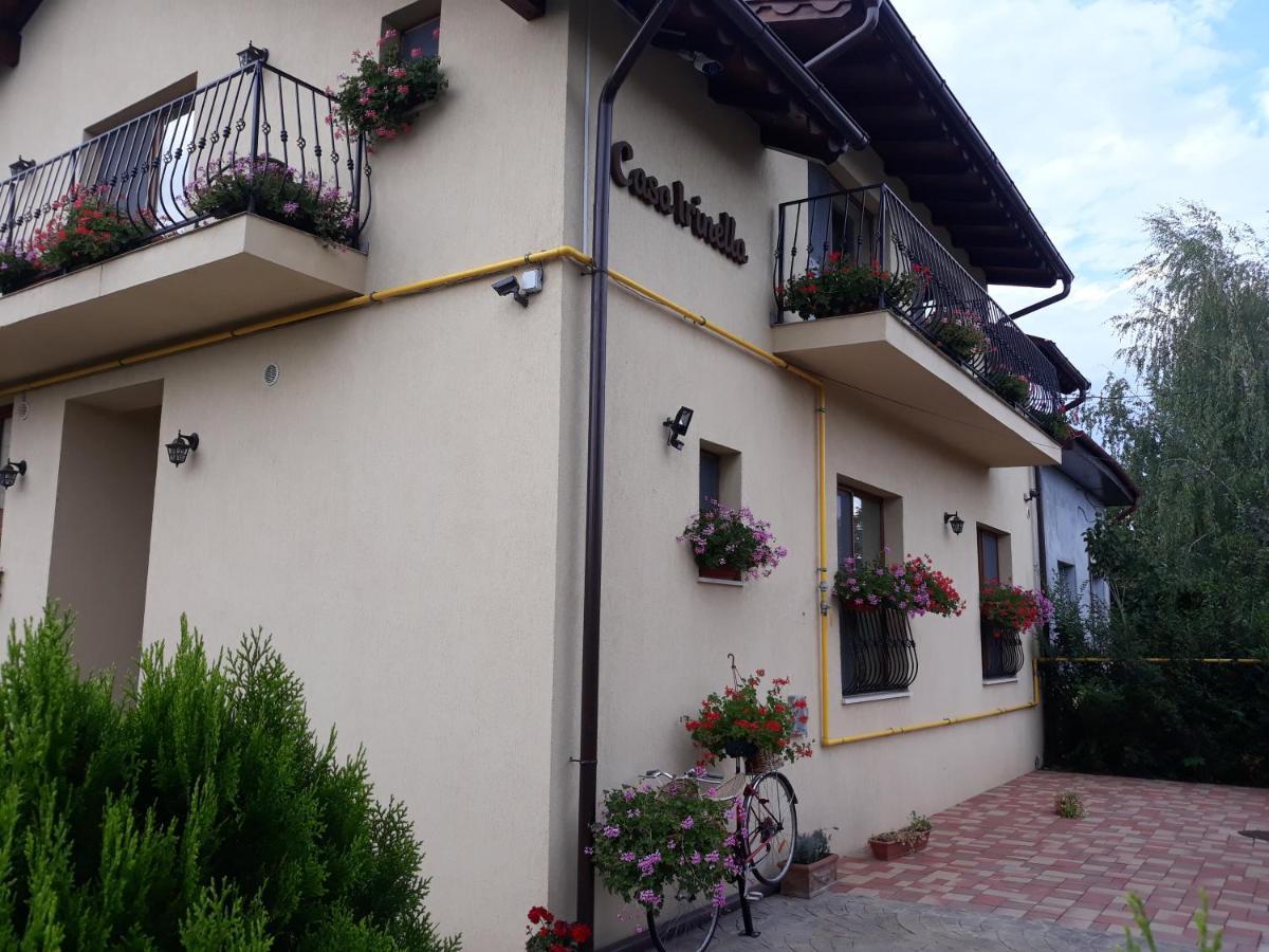 萨图马雷Casa Irinella住宿加早餐旅馆 外观 照片